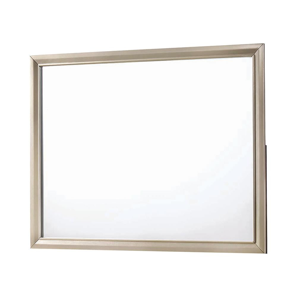 MIRROR 205294
