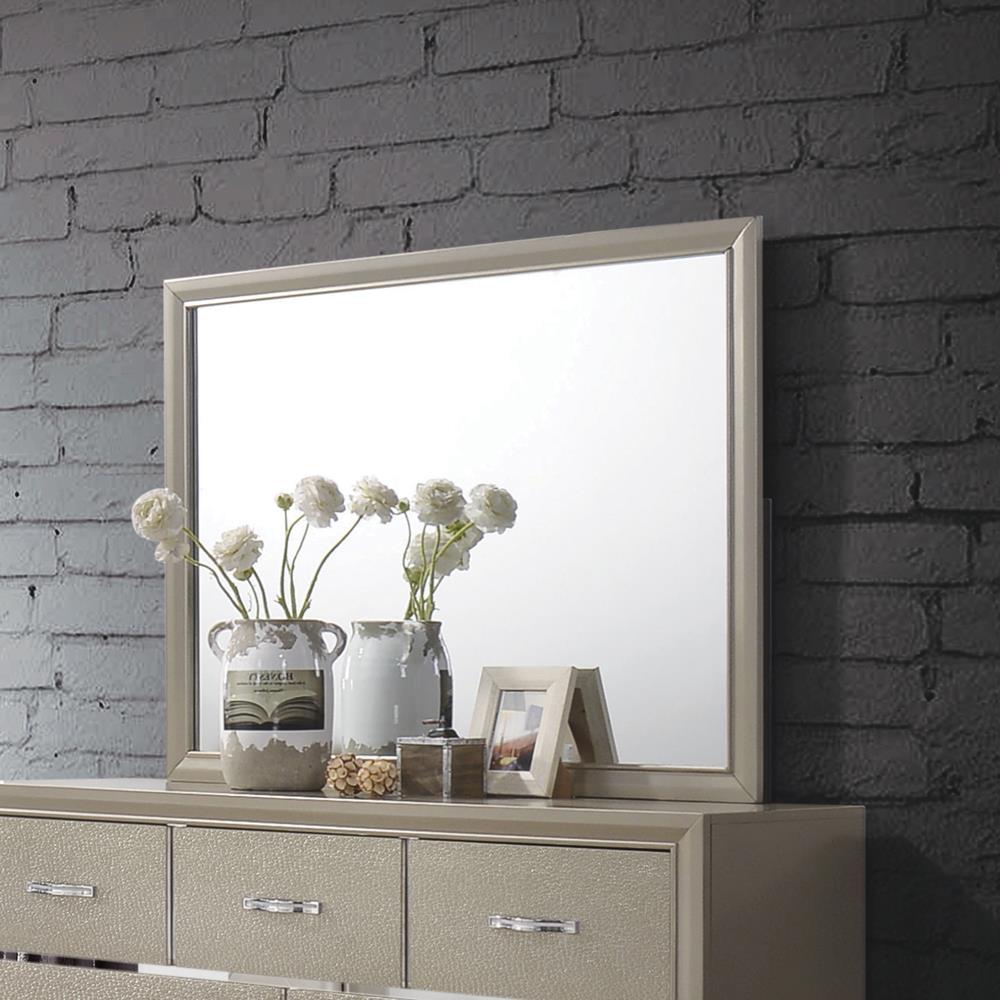 MIRROR 205294