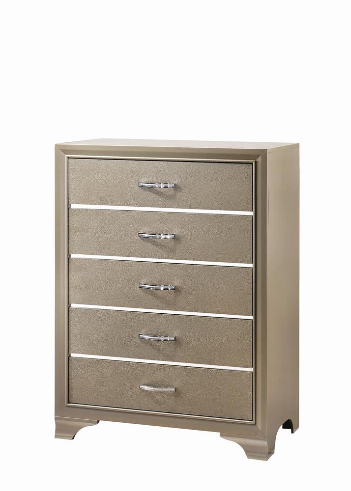 CHEST 205295