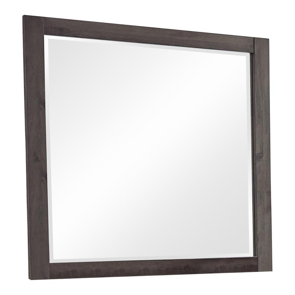 MIRROR 223074