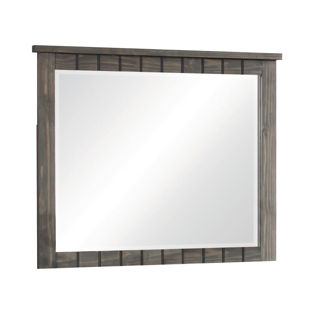 NAPOLEON MIRROR 400934