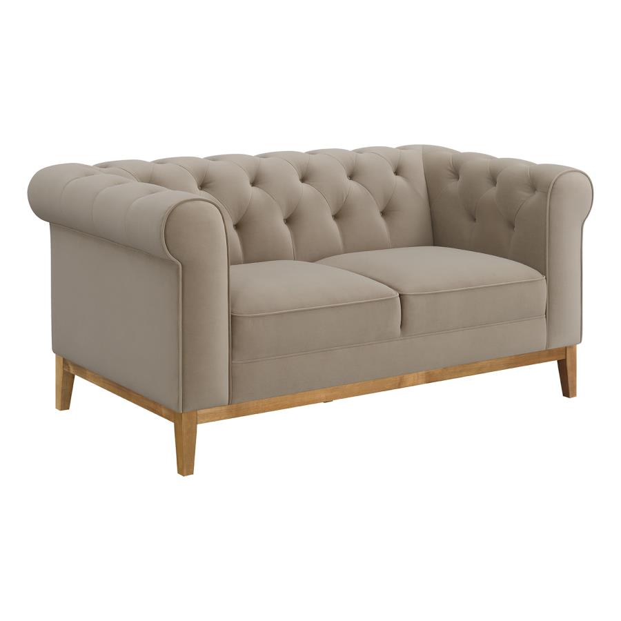 SOFA 509741