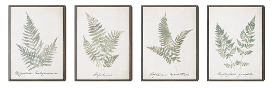 WALL ART 961015