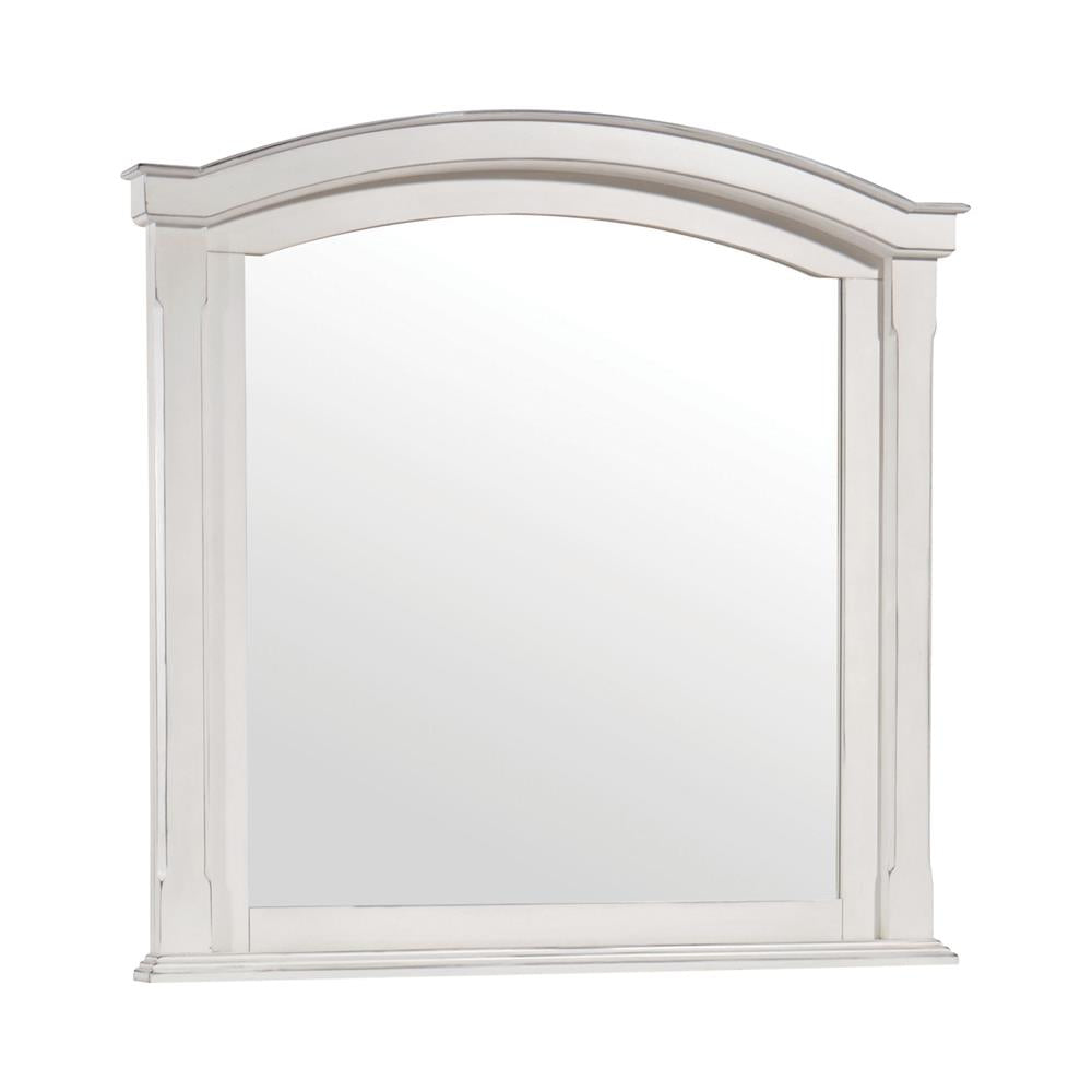 CAROLINA MIRROR 222874