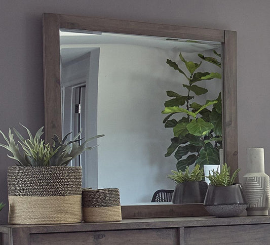 MIRROR 223074