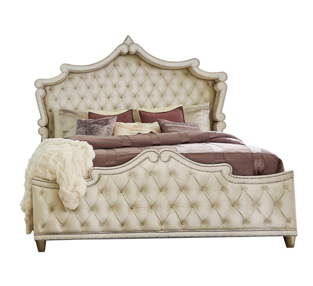 ANTONELLA QUEEN BED 4 PC SET 223521Q-S4