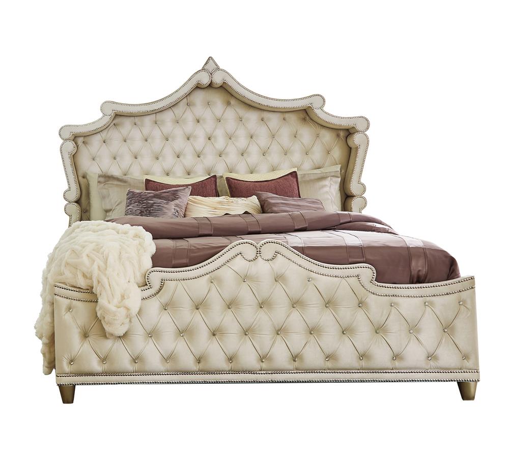 ANTONELLA QUEEN BED 5 PC SET 223521Q-S5