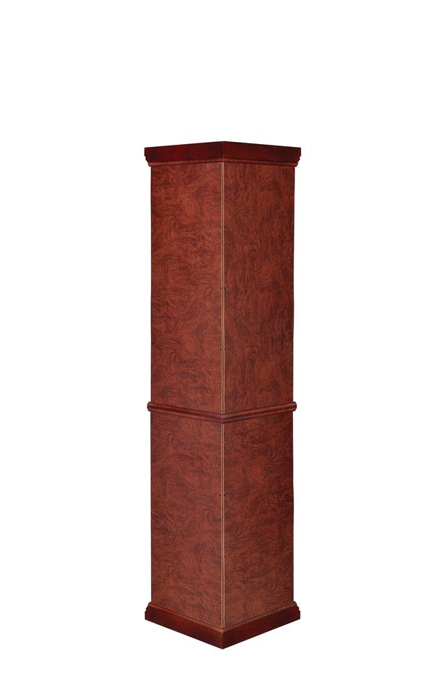 CURIO CABINET 3393