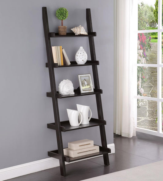 LADDER BOOKCASE 800338