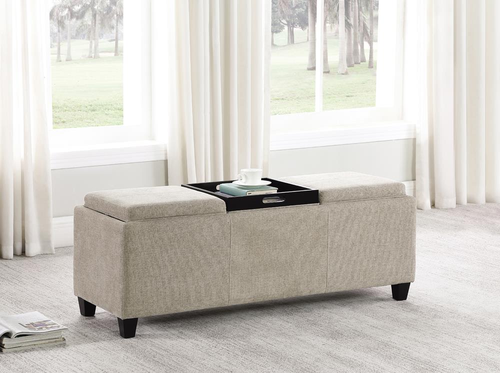 STORAGE BENCH 905697